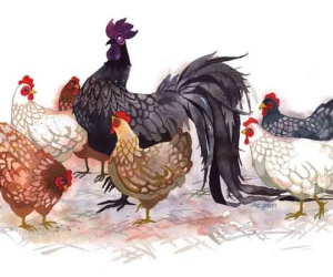 Top 3 con giáp có điềm lành tài lộc, gánh tiền trĩu vai trong 10 ngày tới
