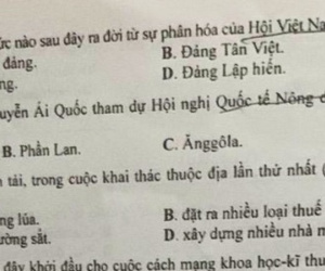 Ảnh minh họa