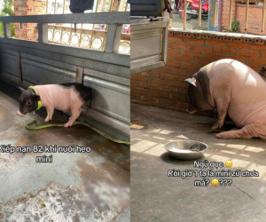 Ảnh bìa bài viết 888303