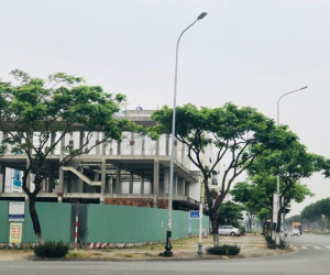 Bỏ tiền tỷ mua shophouse, 7 năm thành nhà hoang