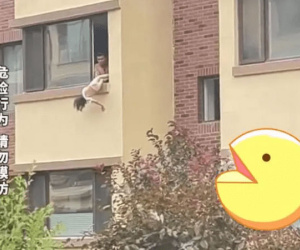 Video: Cha treo ngược con gái ngoài cửa sổ vì đi vệ sinh bừa bãi