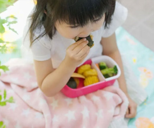 4 kiểu ép ăn 'truyền thuyết' gây hại cho hệ tiêu hóa của con