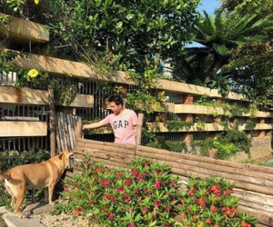 Nhà vườn ở Thanh Hóa từng gây xôn xao của 'Vua nhạc đỏ' vụt sáng nhờ Sao Mai