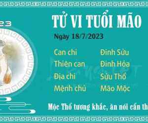 Tử vi thứ 3 ngày 18/07/2023 của 12 con giáp: Mão ăn nói cẩn thận, Tý có tin vui tiền tài