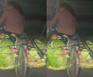 Xúc động bé gái ngủ ngon lành trên sọt rau của mẹ, tay vẫn cầm củ khoai ăn dở