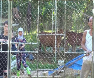 Khởi tố 3 người trong gia đình vì dùng dao đe dọa, ném phân bò vào đoàn cưỡng chế