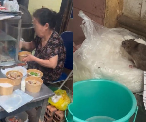 Vụ chuột cống 'ngồi' chễm chệ trên túi bún ở Hà Nội: Chủ quán suy sụp tinh thần, hãi hùng kể lại giây phút xua đuổi con chuột 'lỳ đòn'
