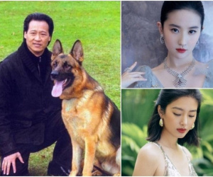 Người đàn ông chi tiền khiến Lưu Diệc Phi nổi tiếng, yêu người đáng tuổi con gái rồi 'đá', giờ ra sao?
