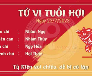 Tử vi 12 con giáp hôm nay - Chủ Nhật ngày 23/07/2023: Hợi bị cô lập, Tị được đánh giá cao
