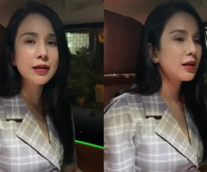 Diệp Lâm Anh phải hủy show vì lùm xùm ly hôn