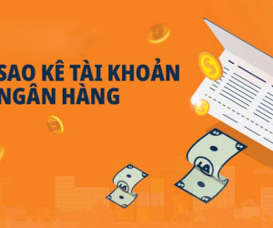 Hướng dẫn cách sao kê tài khoản ngân hàng online