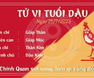 Tử vi 12 con giáp hôm nay - thứ 3 ngày 25/07/2023: Dậu làm gì cũng đỏ, Mão xui xẻo