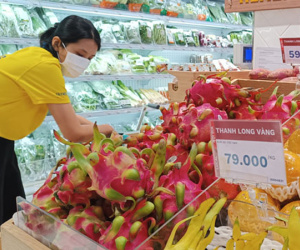 Hàng xuất khẩu khó bán ở sân nhà