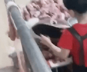 Theo dõi chủ sạp thịt heo bán hàng, thanh niên phát hiện chiêu gian dối khó ngờ