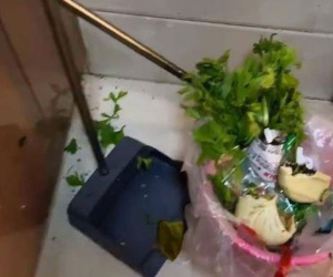 Mẹ vợ vất vả làm bánh mang sang, con rể vứt vào thùng rác vì không ngon, CDM tranh cãi dữ dội