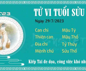 Tử vi 12 con giáp hôm nay - thứ 7 ngày 29/07/2023: Sửu công việc khó khăn, Tý vượng tài lộc