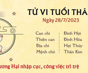 Tử vi 12 con giáp hôm nay - thứ 6 ngày 28/07/2023: Thân công việc trì trệ, Sửu tài chính rủng rỉnh