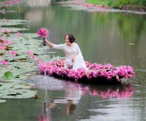 Đến 'Tràng An của xứ Thanh', mê mẩn ngắm hoa súng phủ tím 2 bên bờ suối