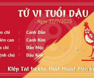 Tử vi 12 con giáp hôm nay - thứ 2 ngày 31/07/2023: Ngọ tinh thần minh mẫn, Dậu thất thoát tiền bạc