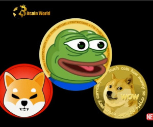 Nhà đầu tư meme coin: Đang đánh bạc hay đầu tư?