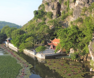 Ngôi chùa đặc biệt ở Thanh Hoá, mỗi ngày có đàn khỉ hoang rủ nhau về