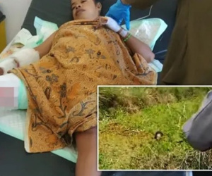 Sống sót thần kỳ sau khị bị cá sấu kéo xuống đầm lầy