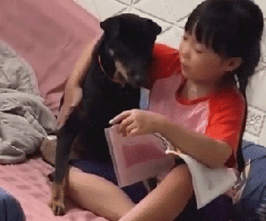 Dạy chú chó tập đánh vần, bé gái đưa ra phần thưởng khiến dân mạng cười ngất
