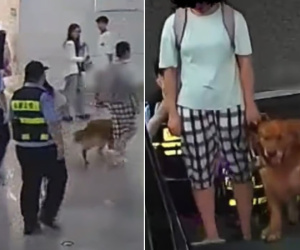 Bất ngờ với lý do nhân viên cảnh sát luôn bám theo một cô gái suốt 400 ngày