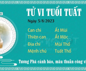 Tử vi 12 con giáp hôm nay - Thứ 7 ngày 06/08/2023: Tị đón tài lộc, Tuất đề phòng tiểu nhân