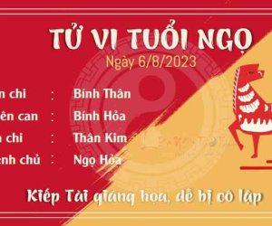 Tử vi 12 con giáp hôm nay - Chủ Nhật ngày 06/08/2023: Ngọ bị cô lập, Mão được quan tâm