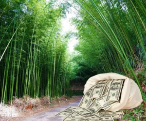 2 người liên tiếp nhặt được bọc tiền gần 40 tỷ đồng trong rừng tre, cảnh sát lập tức vào cuộc