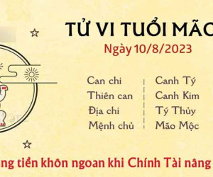 Tử vi 12 con giáp hôm nay - thứ 5 ngày 10/08/2023: Mão biết chi tiêu, Ngọ xích mích