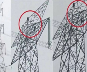Giận bạn trai, cô gái leo lên cột điện cao thế rồi mắc kẹt