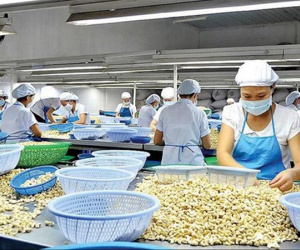 Bị lừa khi xuất khẩu: Vì sao nhiều doanh nghiệp Việt liên tục sập bẫy?