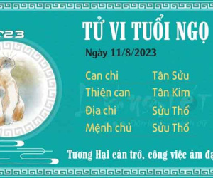 Tử vi 12 con giáp hôm nay - thứ 6 ngày 11/08/2023: Dần tài lộc hanh thông, Ngọ công việc cản trở