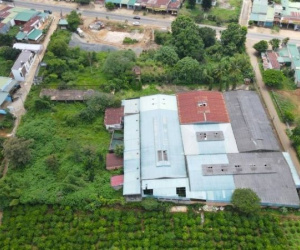 Ông Đặng Lê Nguyên Vũ muốn nhận lại 4.337 m2 đất ở Lâm Đồng