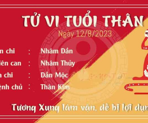 Tử vi 12 con giáp hôm nay - thứ 7 ngày 12/08/2023: Sửu may mắn, Thân bị lợi dụng