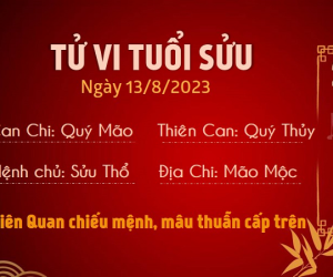 Tử vi 12 con giáp hôm nay - Chủ Nhật ngày 13/08/2023: Sửu gặp rắc rối, Dần đón tài lộc