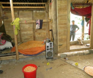 Mâu thuẫn do tranh chấp đất đai, anh trai đâm chết em ruột