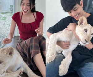 Hoa hậu Tiểu Vy vướng nghi vấn hẹn hò với tài tử Thái Lan