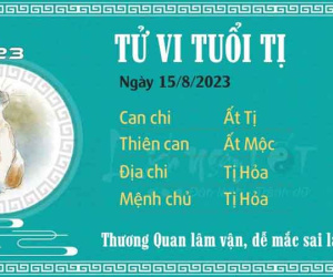 Tử vi 12 con giáp hôm nay - thứ 3 ngày 15/08/2023: Sửu công việc may mắn, Tị dễ mắc sai lầm