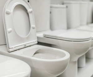 Không thấy WC, người phụ nữ 'xả' ngay tại bồn cầu mẫu gây choáng