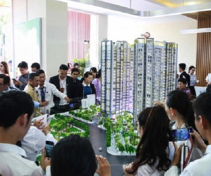 Chủ tịch bán chui cổ phiếu vì thư ký sai, nhà đầu tư tháo chạy gần 200 tỷ đồng