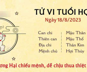 Tử vi 12 con giáp hôm nay - thứ 6 ngày 18/08/2023: Tý dồi dào năng lượng, Hợi bị thiệt