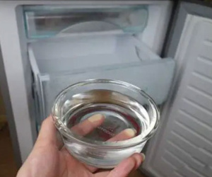 Vì sao nên đặt một bát nước trong tủ lạnh?