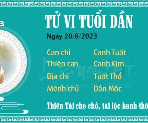 Tử vi 12 con giáp hôm nay - Chủ Nhật ngày 20/08/2023: Dần đón tài lộc, Mão đề phòng rắc rối
