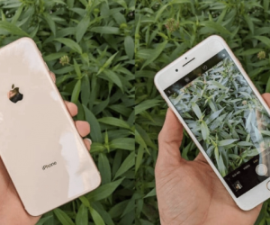 Hé lộ công thức giúp Apple hồi sinh hàng triệu chiếc iPhone cũ