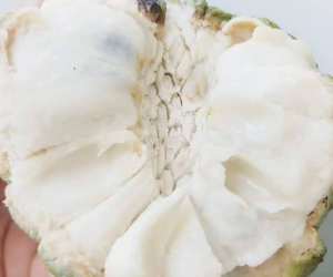 3 điều cần biết khi ăn na để không ngộ độc