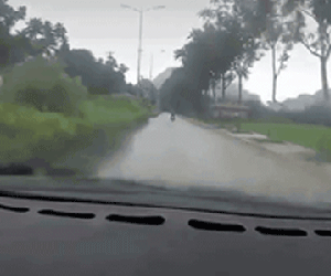Video: Cận cảnh pha 'vồ' xe con của xe 'hồ vồ' khiến ai nấy đều thót tim, chỉ có may mắn mới giúp cả 2 thoát khỏi thần chết