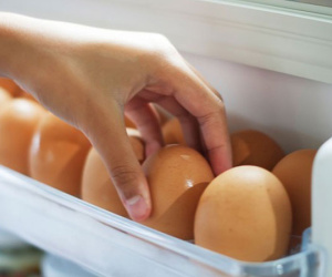 Vì sao không nên bảo quản trứng ở cánh cửa tủ lạnh?
